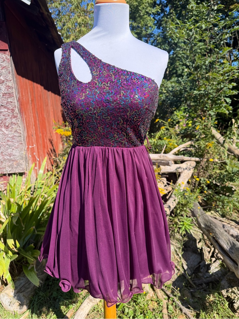 Sequin Hearts One-Shoulder Sequin Bodice Chiffon Dress in Plum